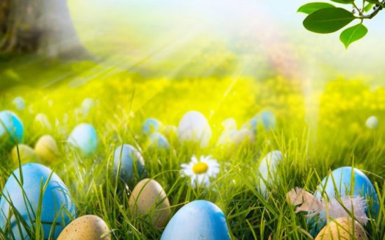 6909_Easter-eggs-in-the-sunlight-beautiful-HD-spring-Holiday